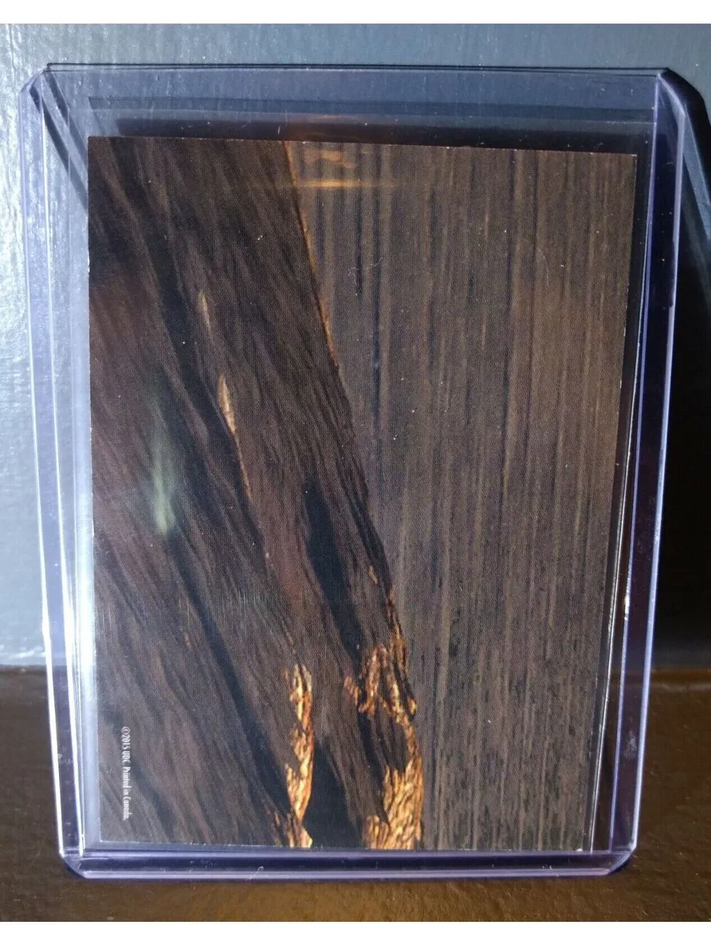 2015 Upper Deck Dinosaurs Corythosaurus #S-25 Trading Sticker Card